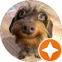 Solrosdalen M. profile picture